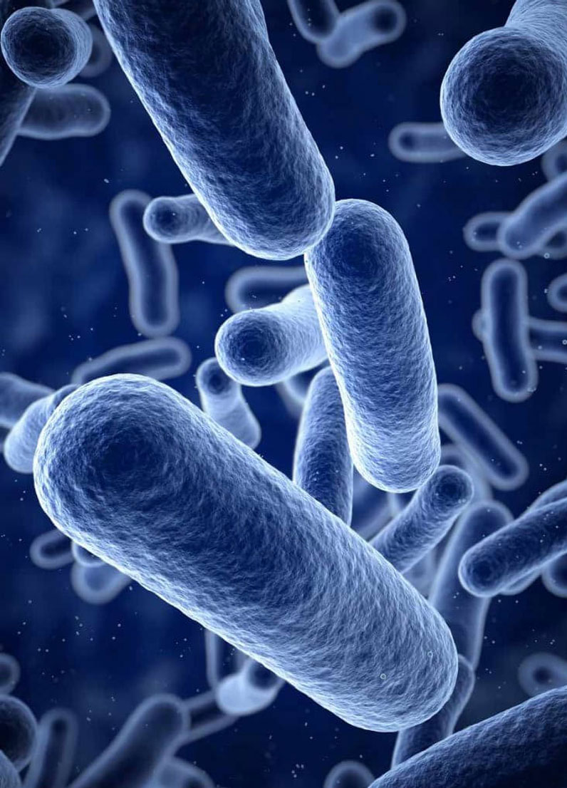 Listeria Outbreak Lawyers OFT Food Safety Injury Lawyers